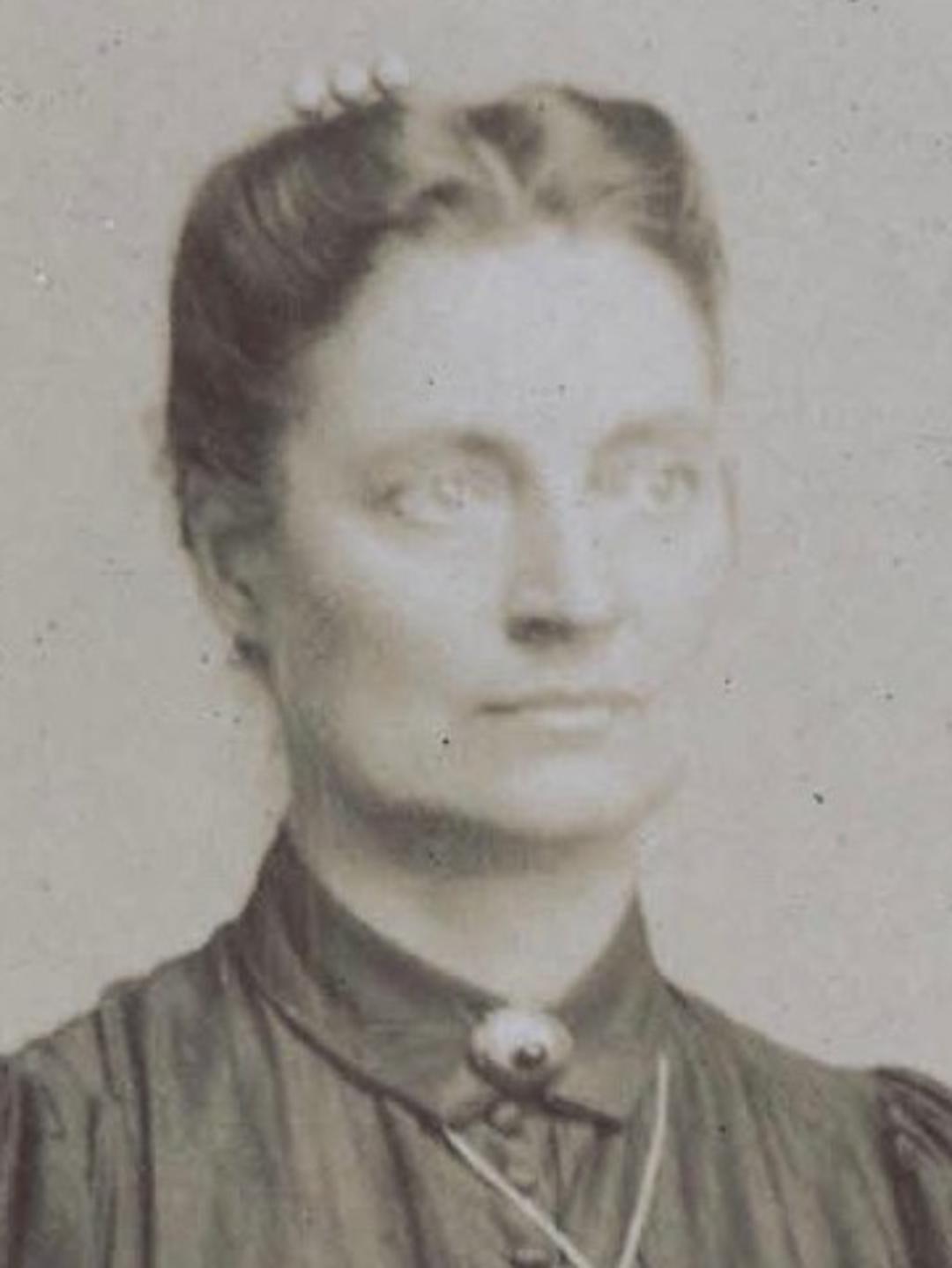 Cecelia Johnson (1853 - 1914) Profile